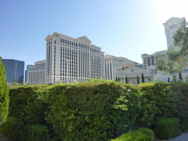 Las Vegas 2014